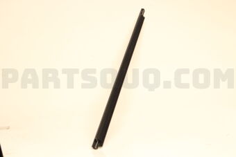 7572013051 MOULDING ASSY, FR