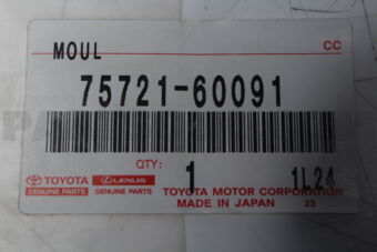 7572160091 LEX-MOULDING  RR DOO