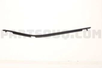 7573010030 MOULDING ASSY, RR