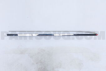 7573248070 Toyota MOULDING  FR DOOR