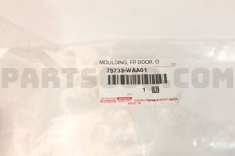 75733WAA01 MOULDING, FR DOOR