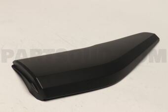 75741F4010 MOULDING RR DOOR