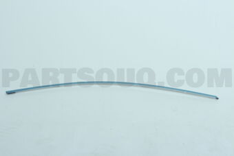 7575312110 MOULDING, FR DOOR