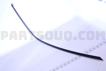 7575460010 MOULDING, FR DOOR