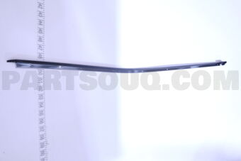 7575460010 MOULDING, FR DOOR