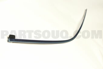 7575460020 MOULDING, FR DOOR