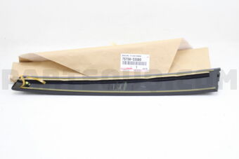 7575633080 MOULDING  FR DOOR