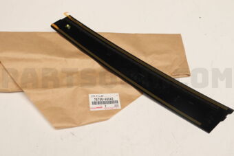 7575648040 MOULDING, FR DOOR