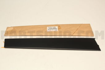 7575660090 MOULDING, FR DOOR