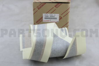 7598160650 STRIPE, FENDER, RH