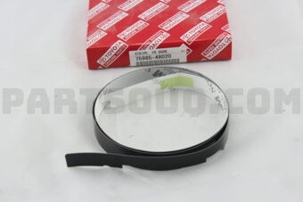7598548020 STRIPE, FRONT DOOR, RH