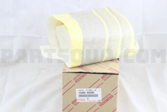 7598560080 STRIPE, FRONT DOOR, RH