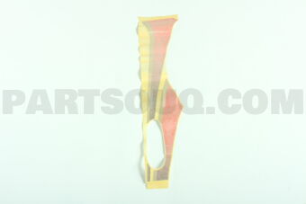 7598560360 STRIPE, FRONT DOOR, RH