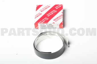 7598560560 STRIPE, FRONT DOOR OUTSIDE, RH
