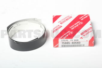 7598560560 STRIPE, FRONT DOOR OUTSIDE, RH