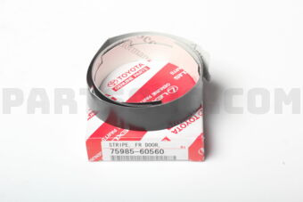 7598560560 STRIPE, FRONT DOOR OUTSIDE, RH