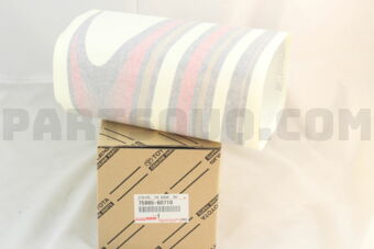 7598560710 STRIPE, FRONT DOOR, RH