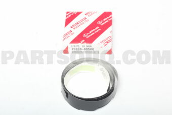 7598660560 STRIPE, FRONT DOOR OUTSIDE, LH