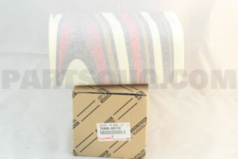 7598660710 STRIPE, FRONT DOOR, LH