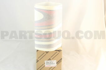 7598660710 STRIPE, FRONT DOOR, LH