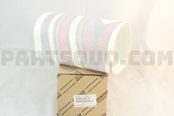 7598660710 STRIPE, FRONT DOOR, LH