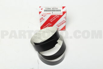 7598660781 STRIPE, FRONT DOOR OUTSIDE, LH