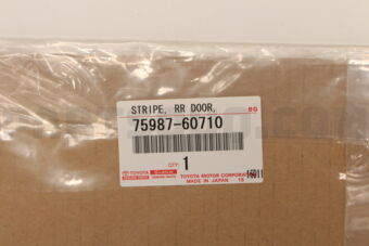 7598760710 STRIPE  RR DOOR