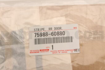 7598860880 STRIPE  RR DOOR