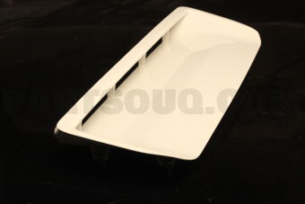 7618060010A0 BULGE ASSY, HOOD