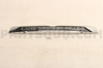 7681060151 GARNISH ASSY, BACK
