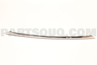 7681202110 GARNISH  BACK DOOR