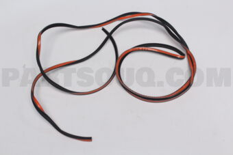 768778Y001C0 PROTECTOR, FR SPOILE