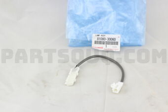 8108030060 LAMP ASSY, FRONT DOOR INSIDE HANDL