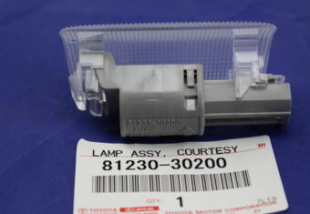 8123030200 LAMP ASSY, COURTESY, RH/LH