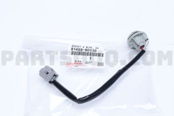 8145960110 SOCKET &amp; WIRE, RR