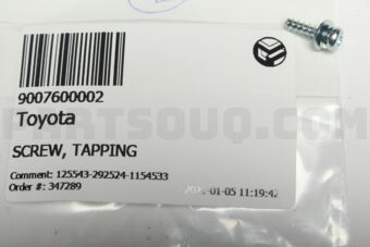 9007600002 SCREW, TAPPING