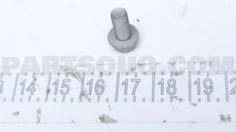 9010512314 BOLT, HEXAGON(FOR FRONT DISC BRAKE CALIPER)