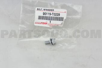 90119T0229 BOLT, W/WASHER