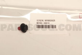 9015960619 SCREW  W/WASHER