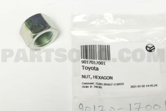 9017017001 NUT, HEXAGON