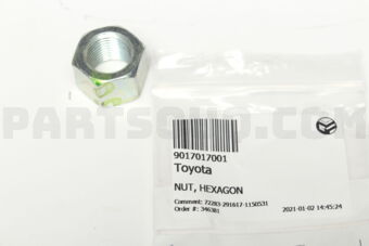 9017017001 NUT, HEXAGON