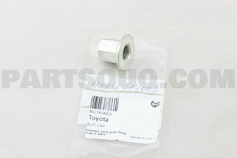 9017614003 NUT, CAP