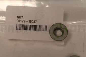 9017910087 NUT