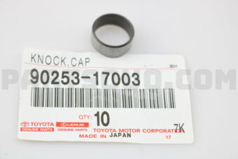 9025317003 PIN, RING(FOR CRANKSHAFT BEARING C