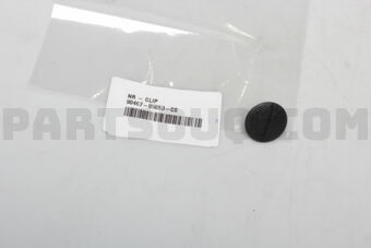 9046705053C0 CLIP(LUGGAGE COMPARTMENT)
