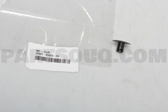 9046705053C0 CLIP(LUGGAGE COMPARTMENT)