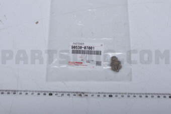 9053007001 FASTENER