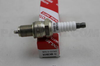 9091901065 PLUG, SPARK
