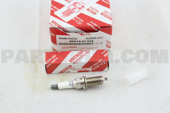 9091901235 PLUG, SPARK