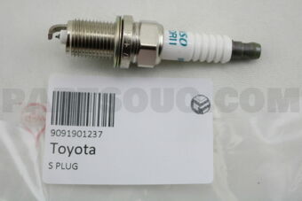 9091901237 PLUG, SPARK